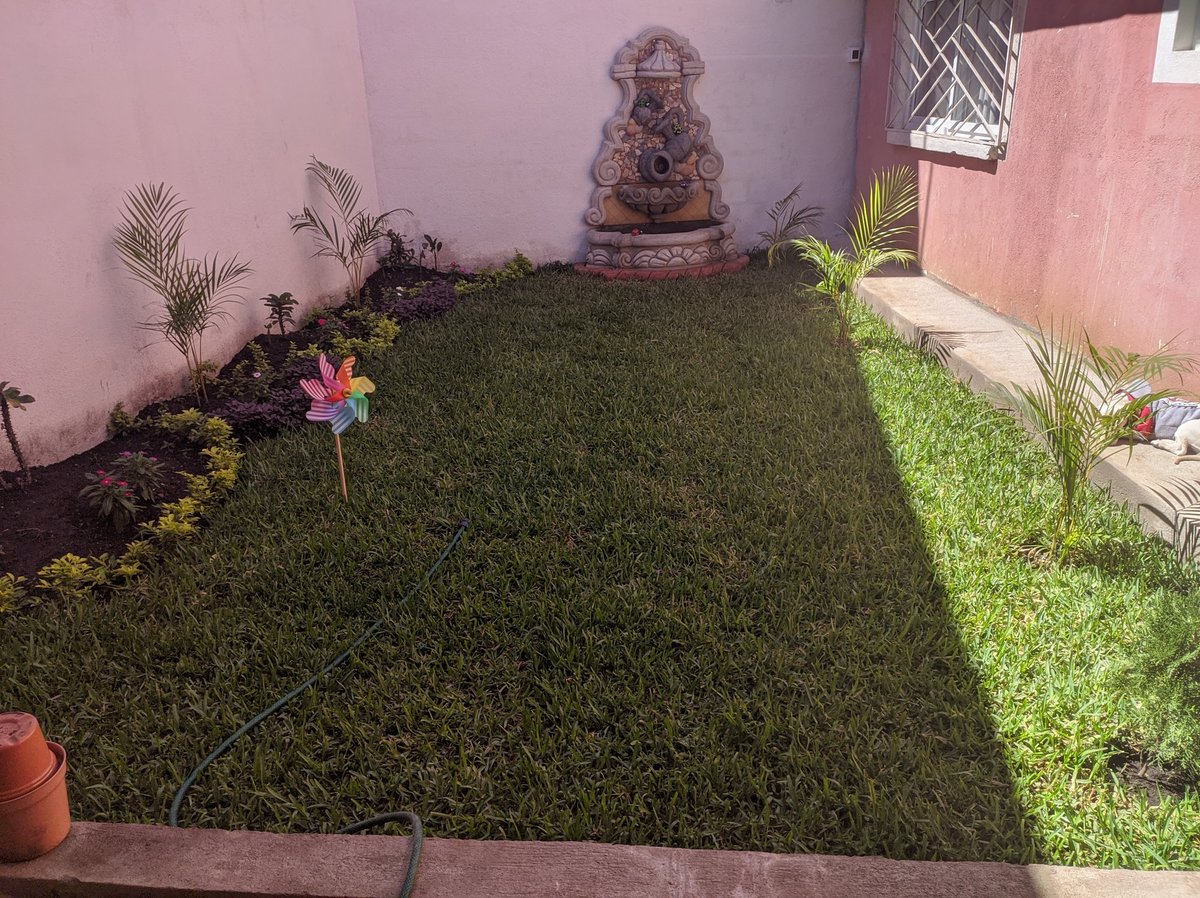 Humano Promedio tweet media