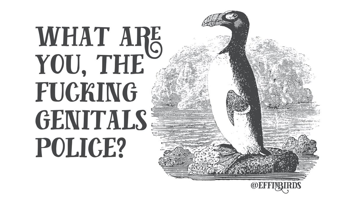 EffinBirds's tweet photo. why is everyone tweeting about a potato’s dick tonight 

actually, I’m fine never knowing https://t.co/Mtt9ZjzEYw