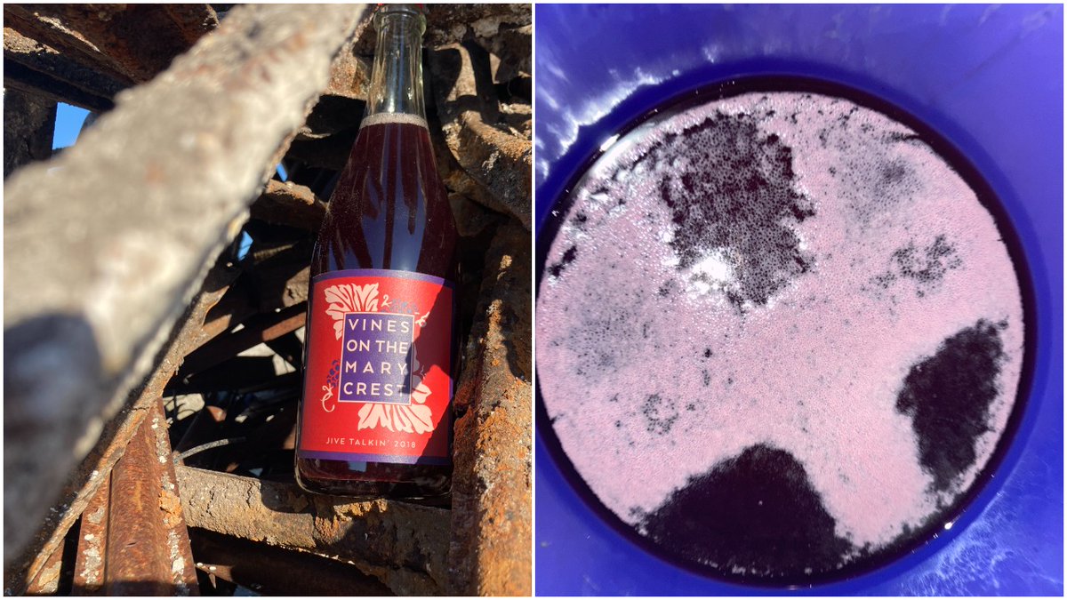 Vines_Marycrest's tweet photo. Great news // Bad News. 2018 Jive Talkin' Sparkling Red is down to a scant 7 bottles, on our website. That's the bad news. Great News: 2020 Jive Talkin' is in the works, and will be ready in a couple of weeks. Made from our dry farmed estate Syrah. We are PSYCHED about it. https://t.co/xffVPZcHRD