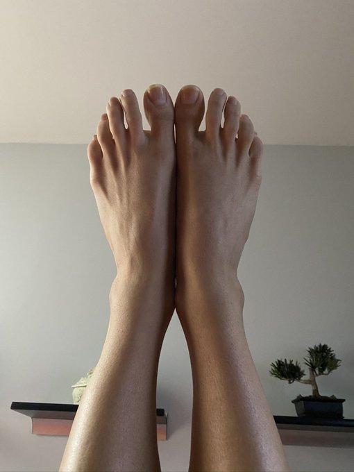 My Beautiful, long lady legs and feet #footworship #transgirl #tgirl #transdom #suckthem #lickfeet #massage<a href="/tag/footworship"class="tags">#footworship</a><a href="/tag/massage"class="tags"><span>#massage</span></a><a href="/tag/tgirl"class="tags"><span>#tgirl</span></a><a href="/tag/transgirl"class="tags"><span>#transgirl</span></a><a href="/tag/suckthem"class="tags"><span>#suckthem</span></a><a href="/tag/lickfeet"class="tags"><span>#lickfeet</span></a>