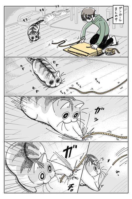 紐にじゃれるネコ
https://t.co/9tuqkcXicj 