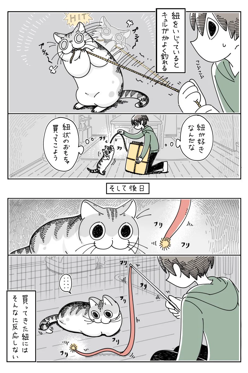 紐だったら何でも良いわけではない？紐で遊んでいるのを見て、似たおもちゃを買ってあげるも･･･！