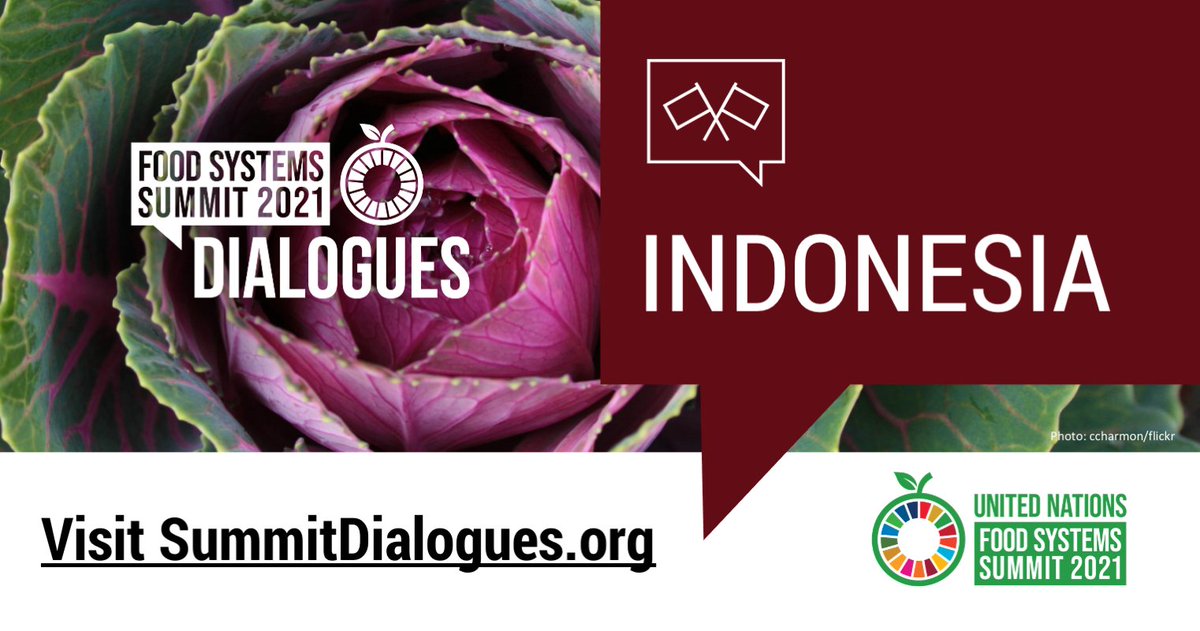 A warm welcome to Mr. Anang Noegroho, @FoodSystems #SummitDialogues National Convenor of Indonesia who is engaging diverse stakeholders to shape pathways towards sustainable and equitable #FoodSystems! 

@AnangNoegroho @BappenasRI @indonesiaunny @mohammadkoba