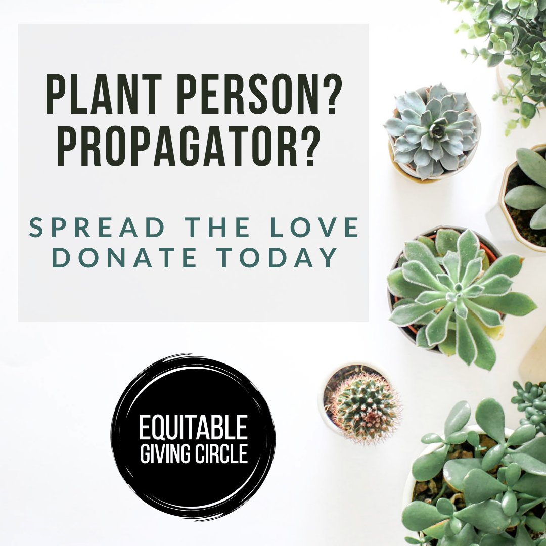 equitablegiving's tweet photo. Are you plant folk? Do you like to propagate your plants? ⁠Why not spread the love by potting up &amp; donating to Equitable Giving Circle? We will gift them to BIPOC folx! Plants are a wonderful way to #practicereparations. Drop at Cafè Reina on NE MLK &amp; #AlbertStreet in #Portland. https://t.co/iXs497xwwQ
