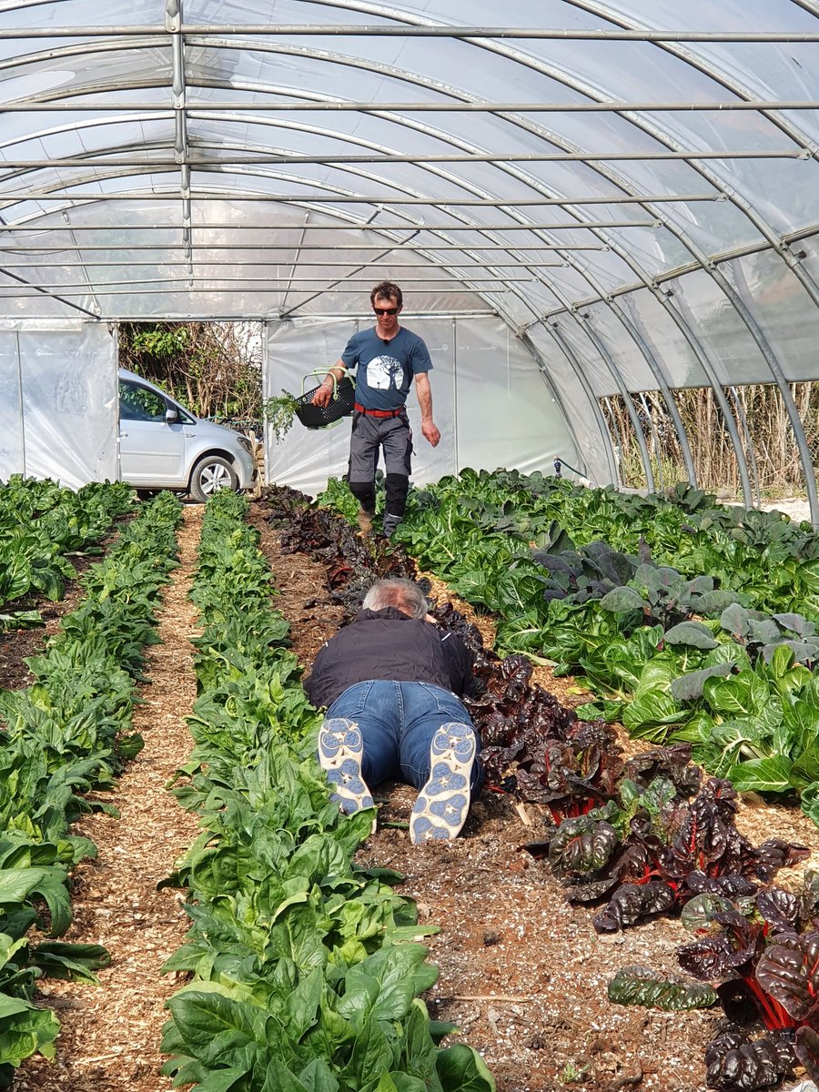 Clap de fin sur 2 jours de tournage avec @France2tv pour le JT de 13h à retrouver la semaine du 8/03 ! Avec <a href="/AOPTeam/">AOP | Agence Olivia Payerne</a> I <a href="/AlaurentAnais/">Alaurent Anais</a>  I <a href="/jeansulpice/">Jean Sulpice</a>  I Sylvain Leroux I <a href="/HotelLesTresoms/">Véronique Droux</a> I Éric Prowalski I Nicole Tissot <a href="/Lac_Annecy/">Lac Annecy Tourisme (compte non opérationnel)</a> 
#reportage #ilakeannecy #annecy #france2