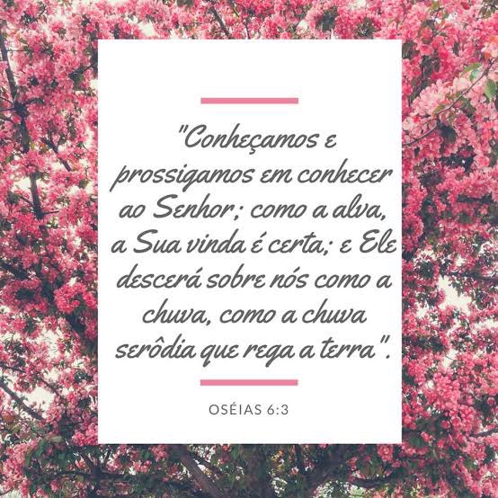 jeanetepinto's tweet image. #Os6|Conhecer e prosseguir conhecendo a Deus é a única forma de nos livrar da indiferença espiritual e reavivar nossa experiência com Ele! #rpSp