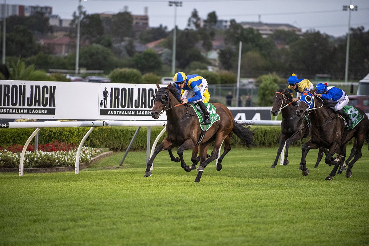 Bjorn Baker Racing tweet media
