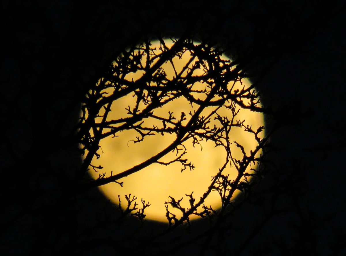 TINA RALPH tweet media