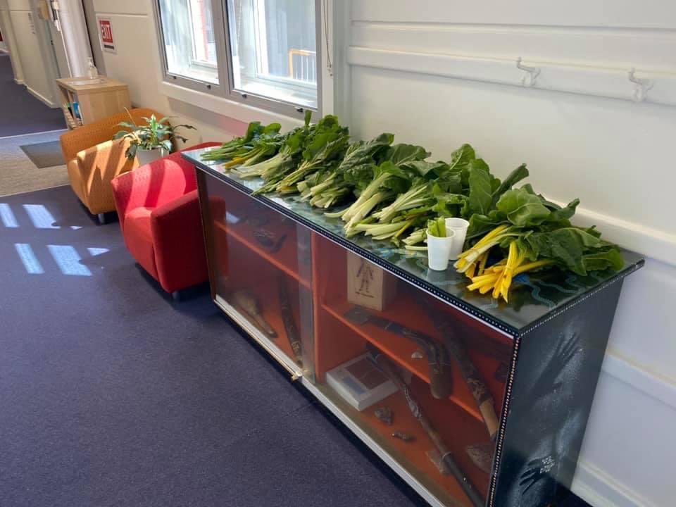 Start of a new tradition #freshproducefridays ! Freshly harvested and bundled up ready for families to take home for weekend meals. #lovewhereyoulearn