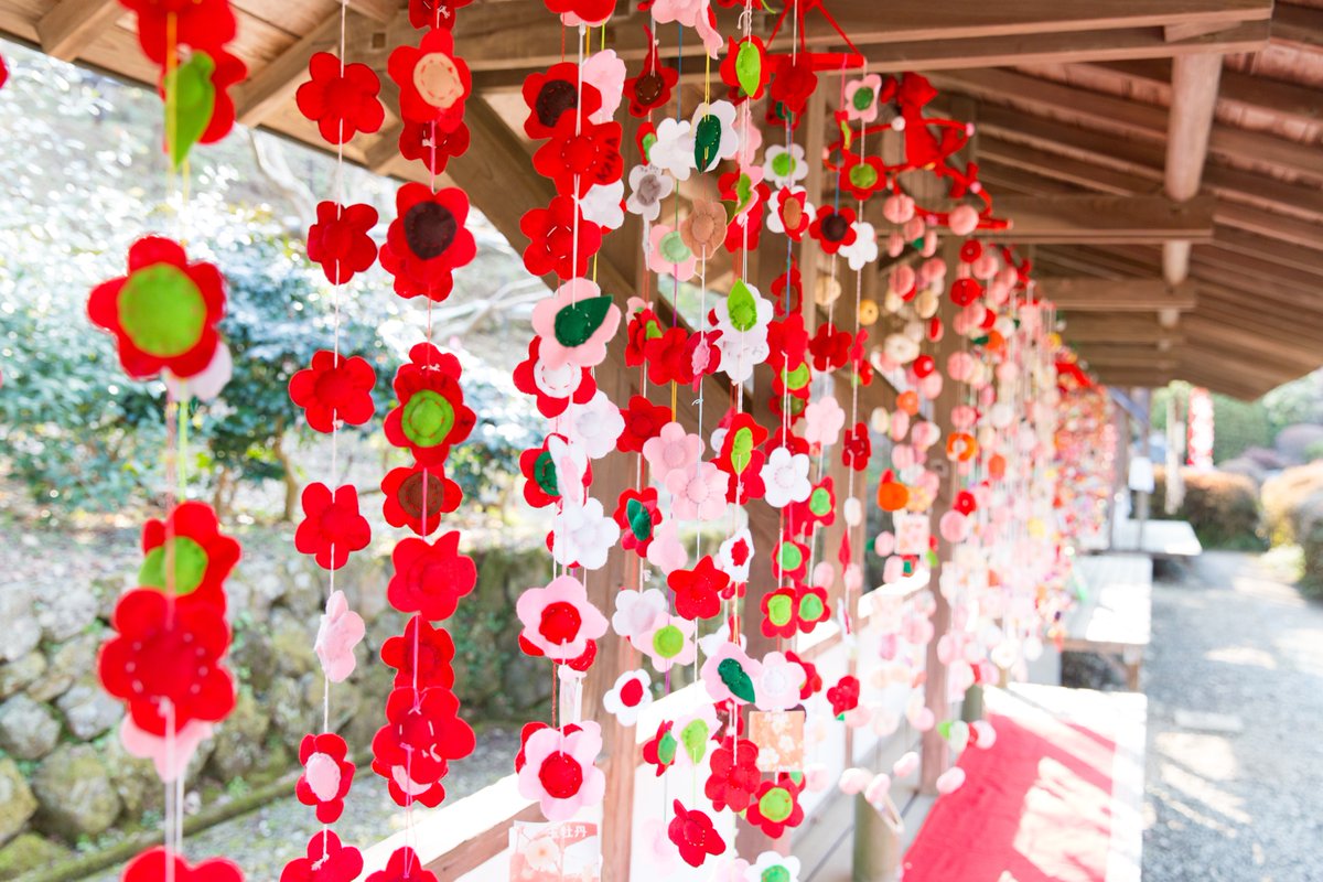 Tokyo_gov's tweet photo. Introducing our March #TOKYOALBUM calendar! The blossoming of ume (plum) trees in Yoshino Baigo on the western edge of Tokyo is celebrated at the Yoshino Baigo Ume Festival but you can enjoy this colorful treat at home. Download here: https://t.co/kwXErDaHXT https://t.co/ct7AS6VuAV
