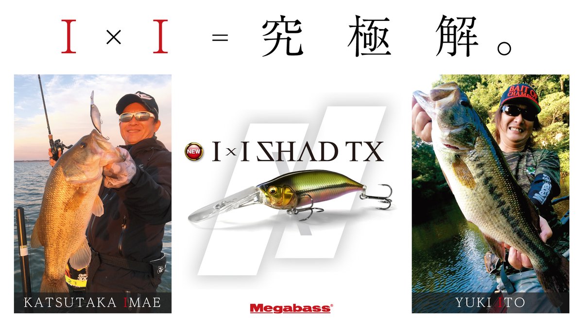 megabass_jp's tweet photo. ４ｍオーバーレンジのタ��ゲットが狂乱。「IxI SHAD TX」アクション動画を公開開始！
https://t.co/WhF8tzYCAI

#Megabass #メガバス #伊東由樹 #今江克隆 #IxIShadTX https://t.co/xoYne1bMI4