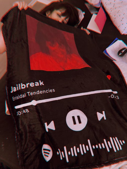 of course I bought a blanket with my mugshot on it https://t.co/QqrkFh5BZG