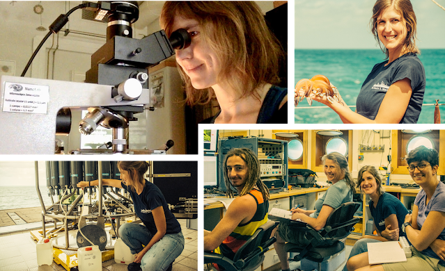 earhsurface's tweet photo. Catarina Guerreiro, investigadora do RG2 (@IdlLuiz/@FC_UL) em #micropaleontologia e biogeociências marinhas,  é uma das oradoras convidadas do @XIXEJIP2021, apresentar�� uma conferência: "#Nanofósseis calcários: uma viagem do Douro à Antártida" Mais inf. 👉https://t.co/G4clUVO42d https://t.co/nSE8Wyjs5i