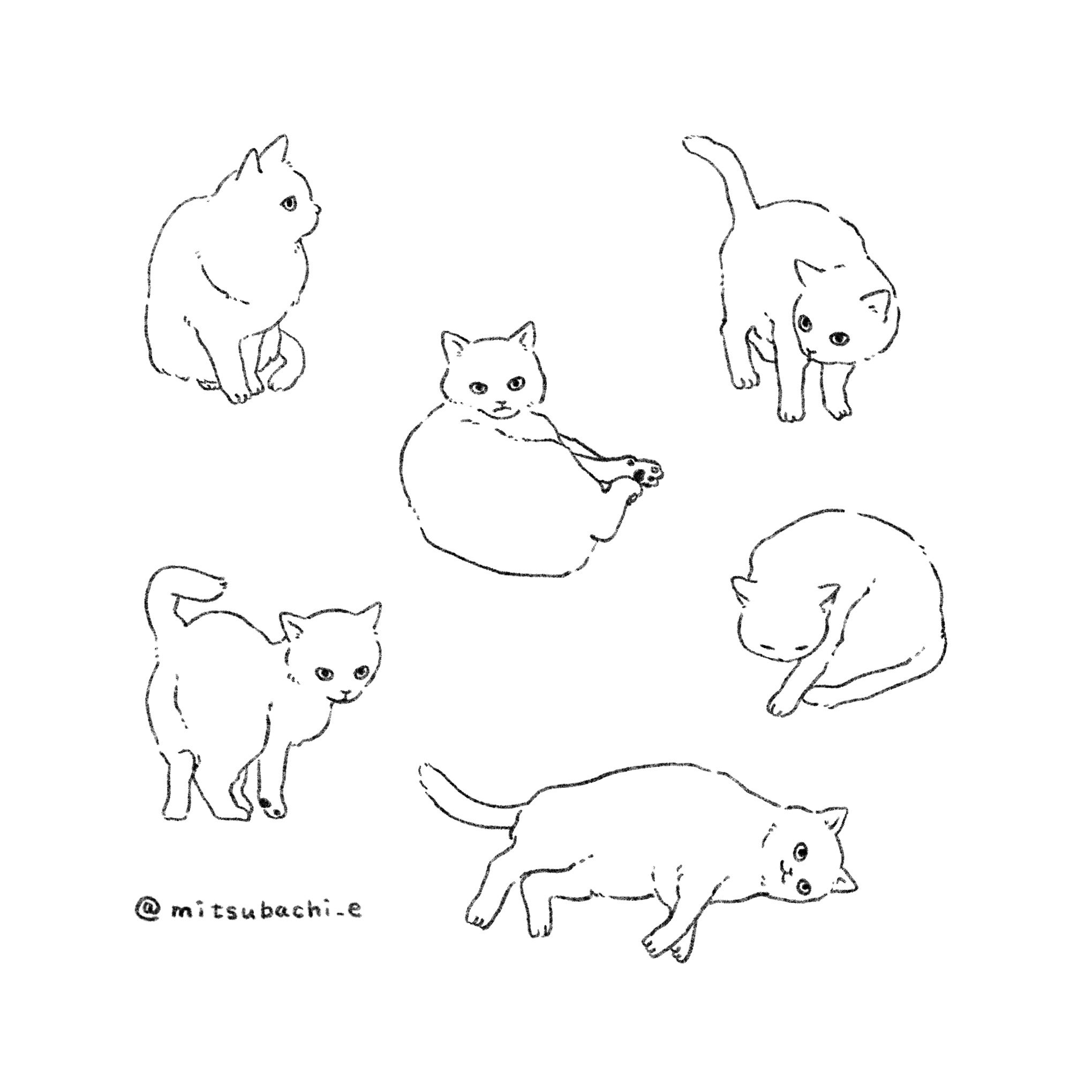 動物塗り絵 Twitter Search Twitter