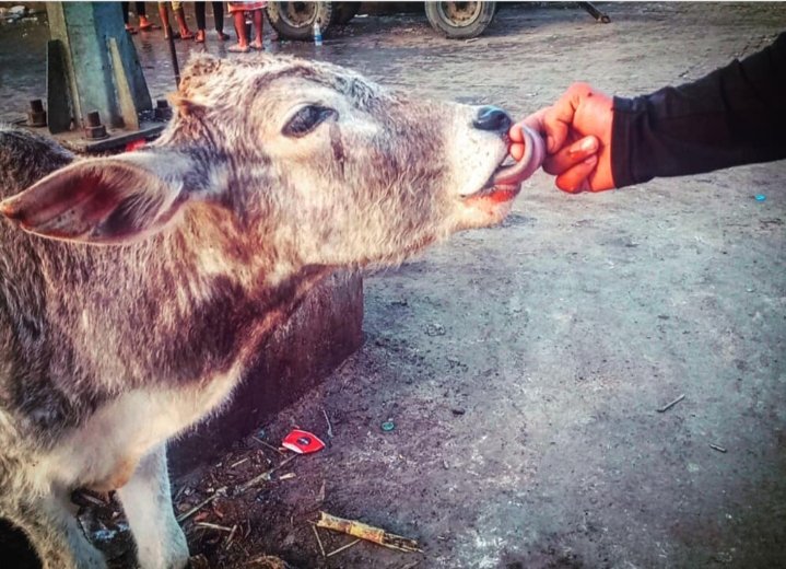 SurajBakshi3's tweet photo. Morning picture at ghazipur border
#hopeforfood https://t.co/rFjMdVodLo