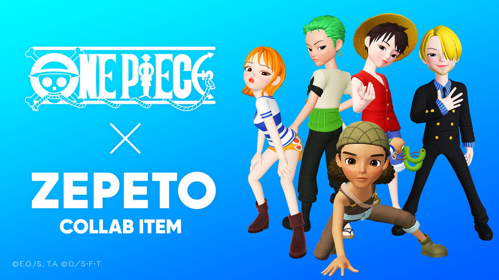 ペットアポルテ　petaportre　fafaコラボ　ワンピース ONE PIECE スタッフ【公式】/ Official on X: 