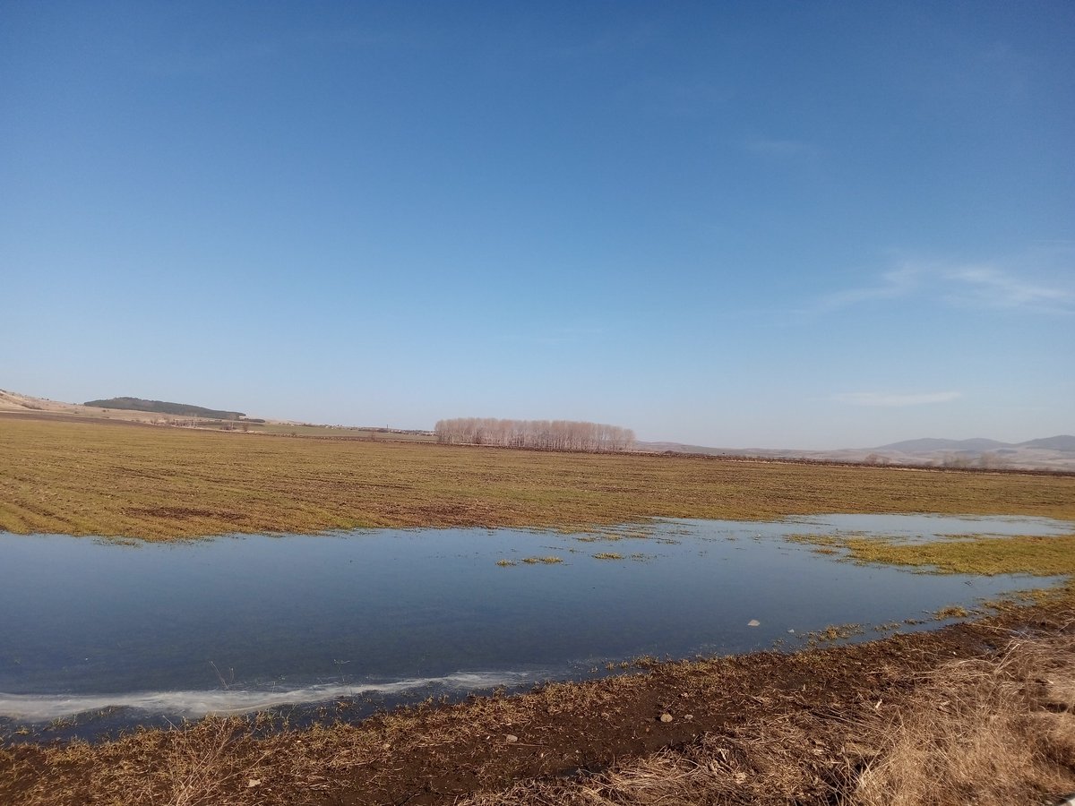 But the spring is coming ...