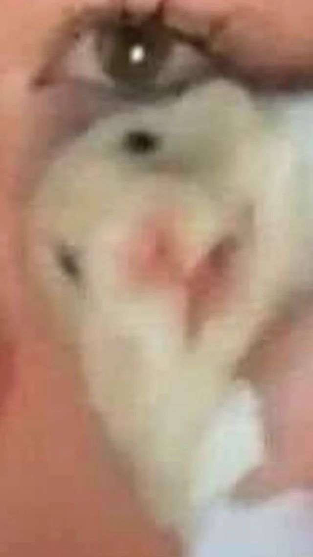 @peachyhole みんなもハムスターで拭くの！？って思ってると思うけど
1番思ってるのはハムスター 