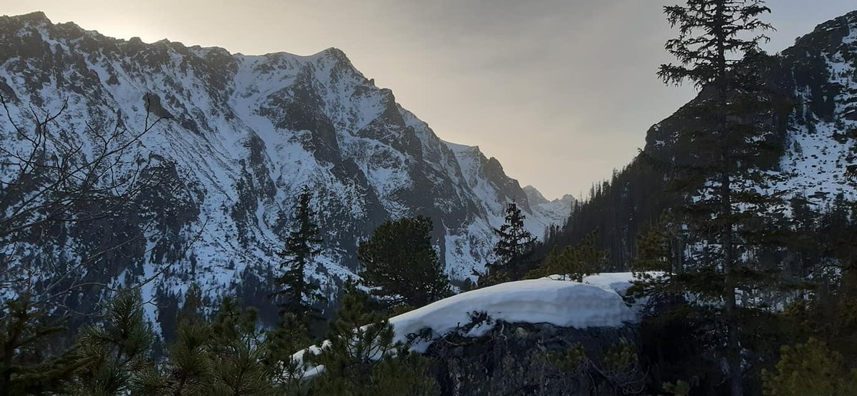 GORSKI_SWIAT's tweet photo. #aktualnewarunki
🇸🇰#góry #tatry #podhale #beautifultatras #tatryofficjal
#schroniskoteryego, #teryhochata, #téryscottage 2015 m
📷Milan Mico Valovic https://t.co/Zl8ocHaiMp