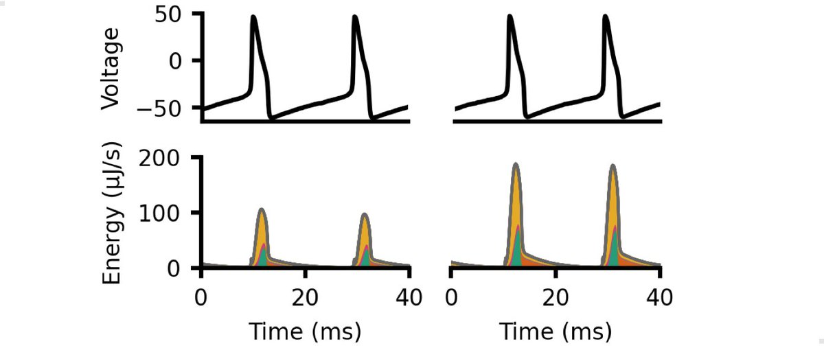 Jakob Macke tweet media