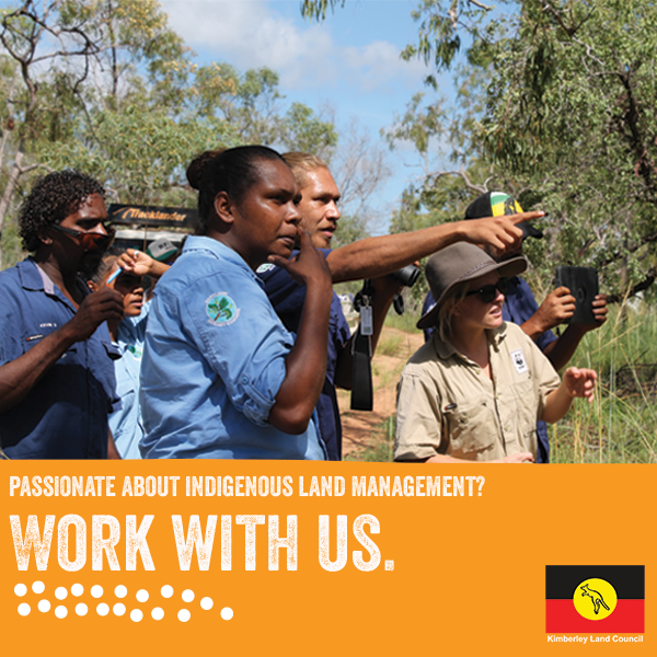 We're hiring for several roles in our Land and Sea Management Unit! 👇🏾 

Apply today: klc.org.au/work-with-us