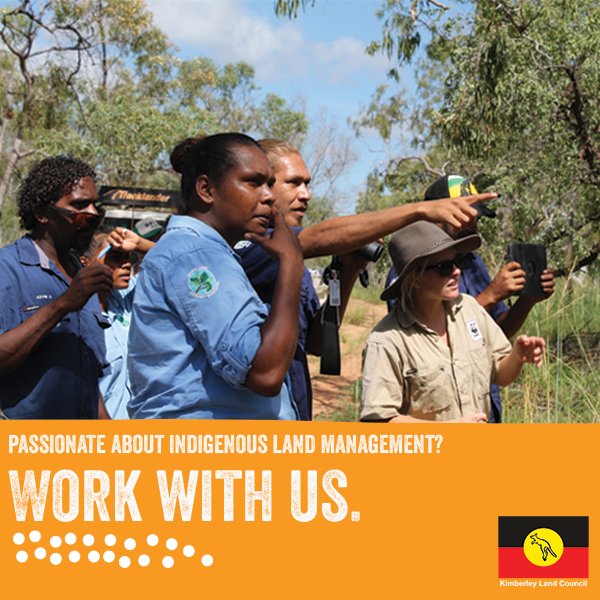 We're hiring for several roles in our Land and Sea Management Unit! 👇🏾 Apply today: klc.org.au/work-with-us