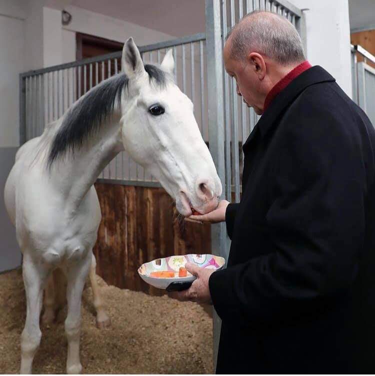 Sen tarihe ezber bozan lider olarak yazılacaksın❗️

Asi merhametli 
Vizyoner güçlü
Mağrur azimli
Cesur inançlı 

İyi ki senin asrına denk geldim🤲
#İyikiDoğdunMilletinAdamı ❤️