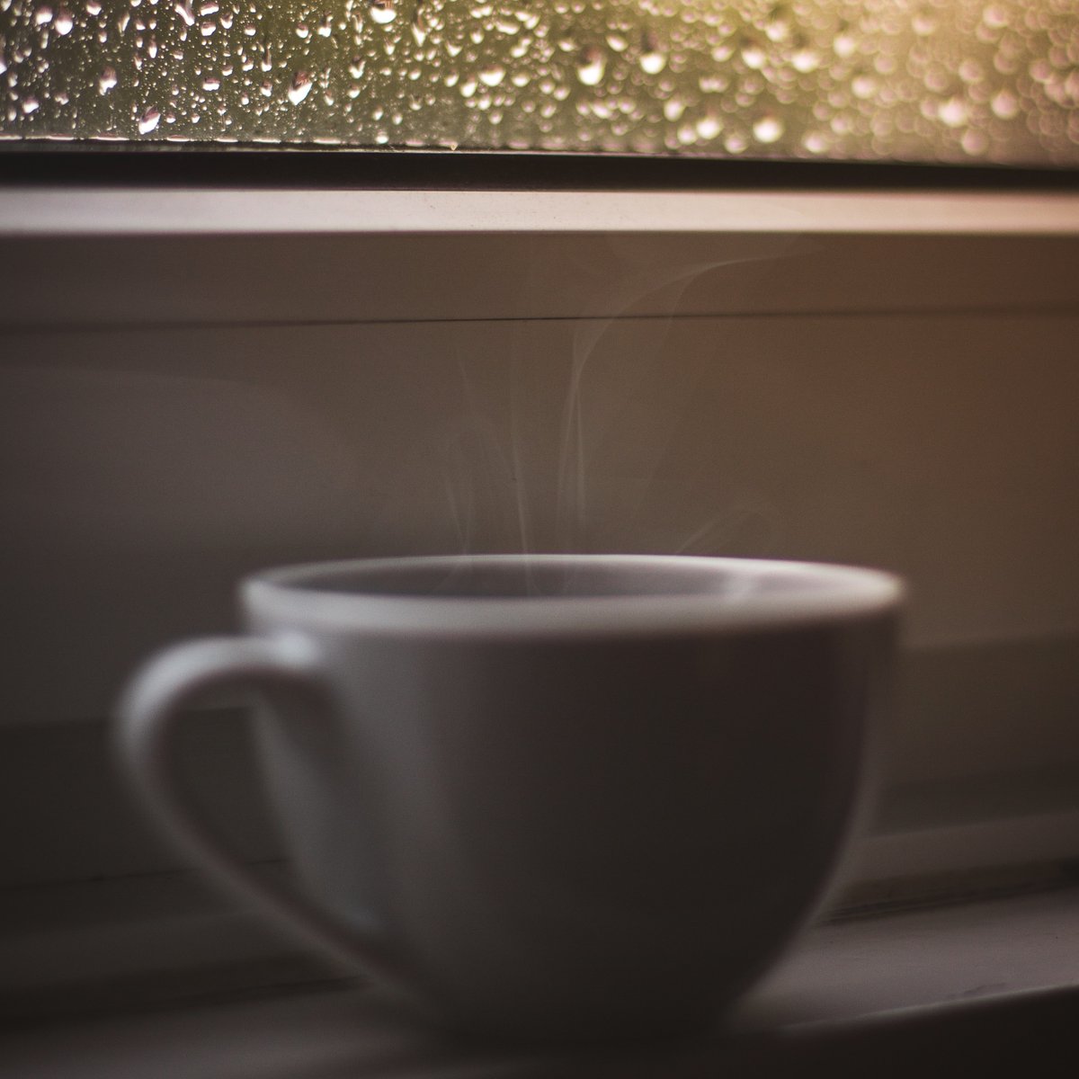 HORNi_Rhino's tweet photo. Friday is here and the coffee is hot, let's get to that weekend! #HORNiCoffee
https://t.co/Uia2HvQ1Vj
#Fridya #Weekend #WeekendVibes #Friyay #CoffeePeople #CoffeeDaily #CoffeeContent #Coffee #Biodegradeable #Conservation #FarmDirect #Sustainable #Ethical https://t.co/xxYWs5Vfto