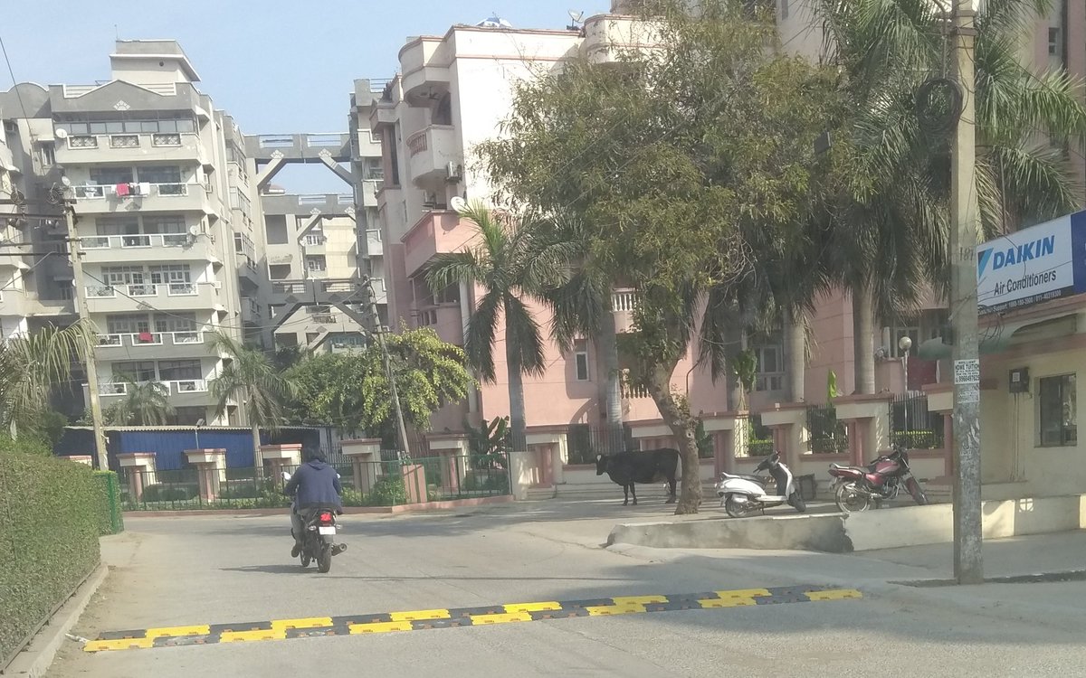 KishanKumarNag3's tweet photo. @cmohry ,@DistrictAdm_FBD @MCF_Faridabad ,@Khemraj58634486 पता नहीं किस की मिलीभगत से, साईकिल, बाइक, स्कूटी, स्कूटर के लिए खतरनाक ब्रेकर बगैर परमिशन लगा दिए sector-21d में.
🙏🌷🇮🇳🕉️ https://t.co/8z00YgDWF1