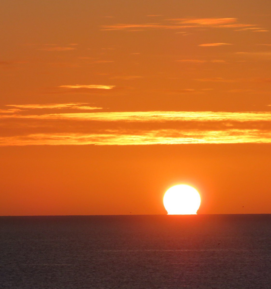 SeaWindowCraster tweet media