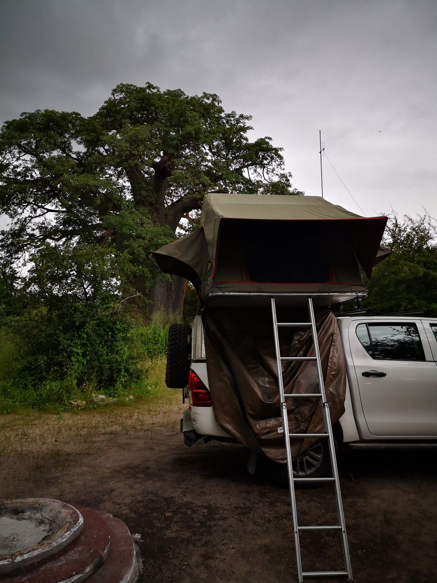 Safe_H_Travel's tweet photo. Next to my rooftop tent I had also a huge Baobab tree!!
#Botswana #Baobab #gweta https://t.co/nXeCw1KPnl