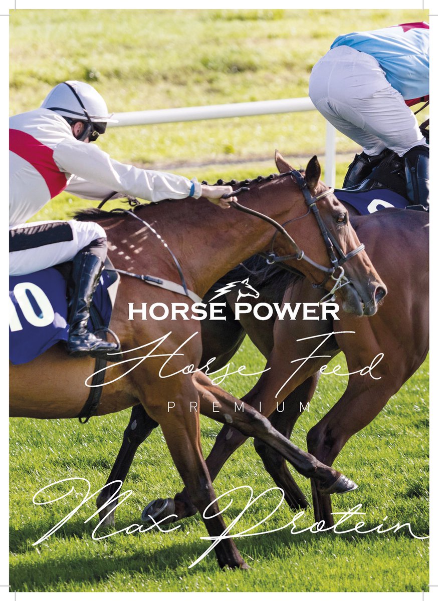 premiumfeed's tweet photo. Gerekli protein takviyesi. Form koruma ve üst performans için gereken güçlü takviye. HORSEPOWER MAKSİMUM PROTEİN. https://t.co/prowtUL2Er
