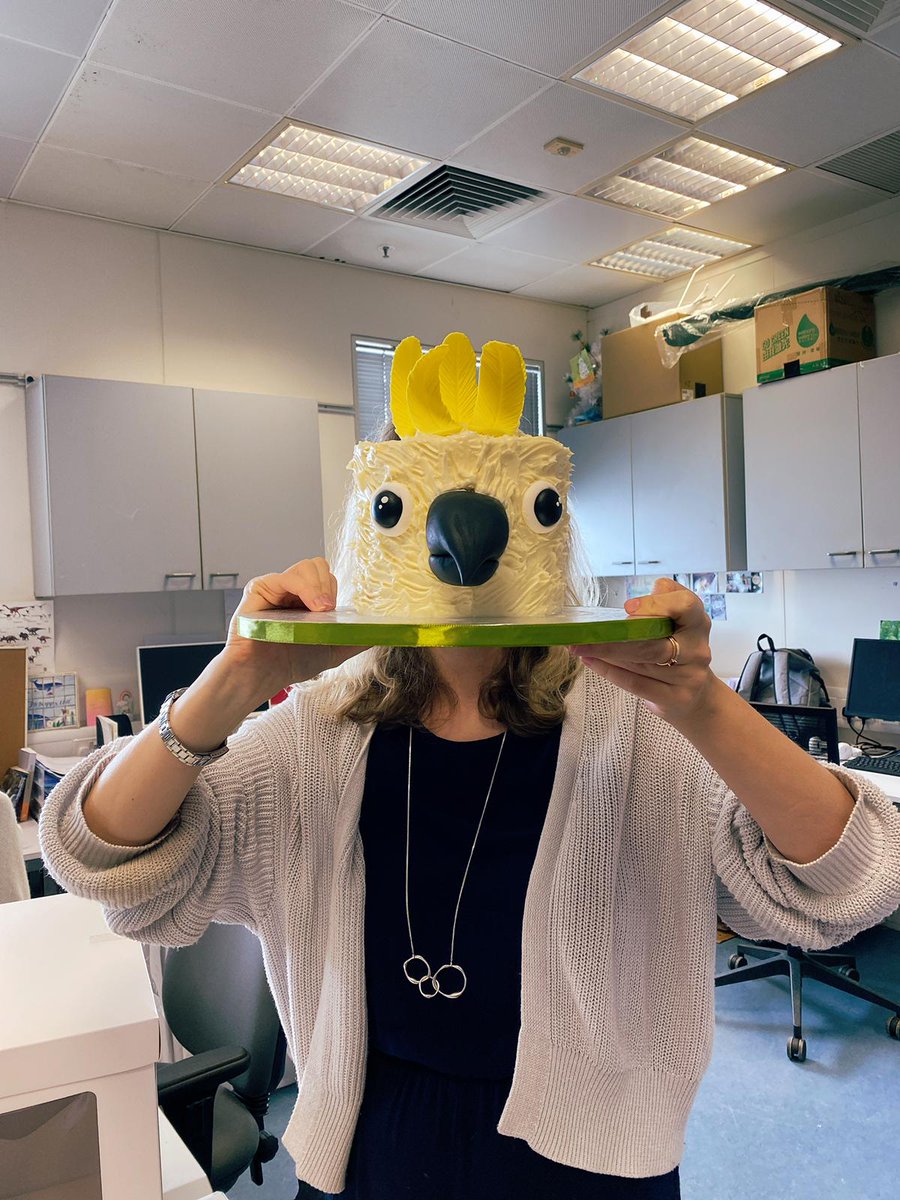 dr_dingle's tweet photo. Today Astrid Andersson @AA_Andersson became Dr Cockatoo! Many congratulations - I'm a very proud supervisor today! (And the cockatoos are grateful too!) #dinglelab https://t.co/rgktm95GWh