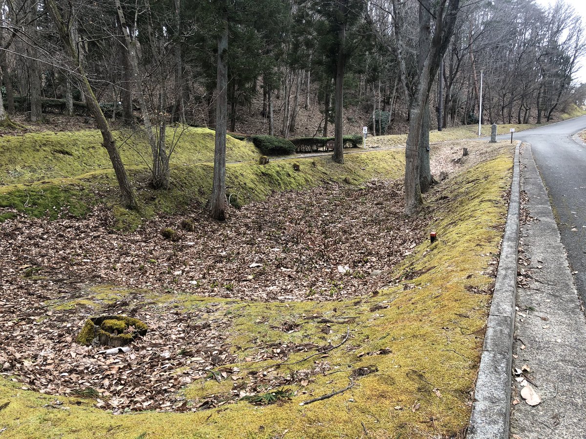 水芭蕉園の様子まだ早い観察時期だと思いましたが 覗いてみると 逢瀬公園 緑化センター 福島県都市公園 緑化協会 公園 21 02 26 動画あり 逢瀬公園 緑化センター ぐるっと郡山