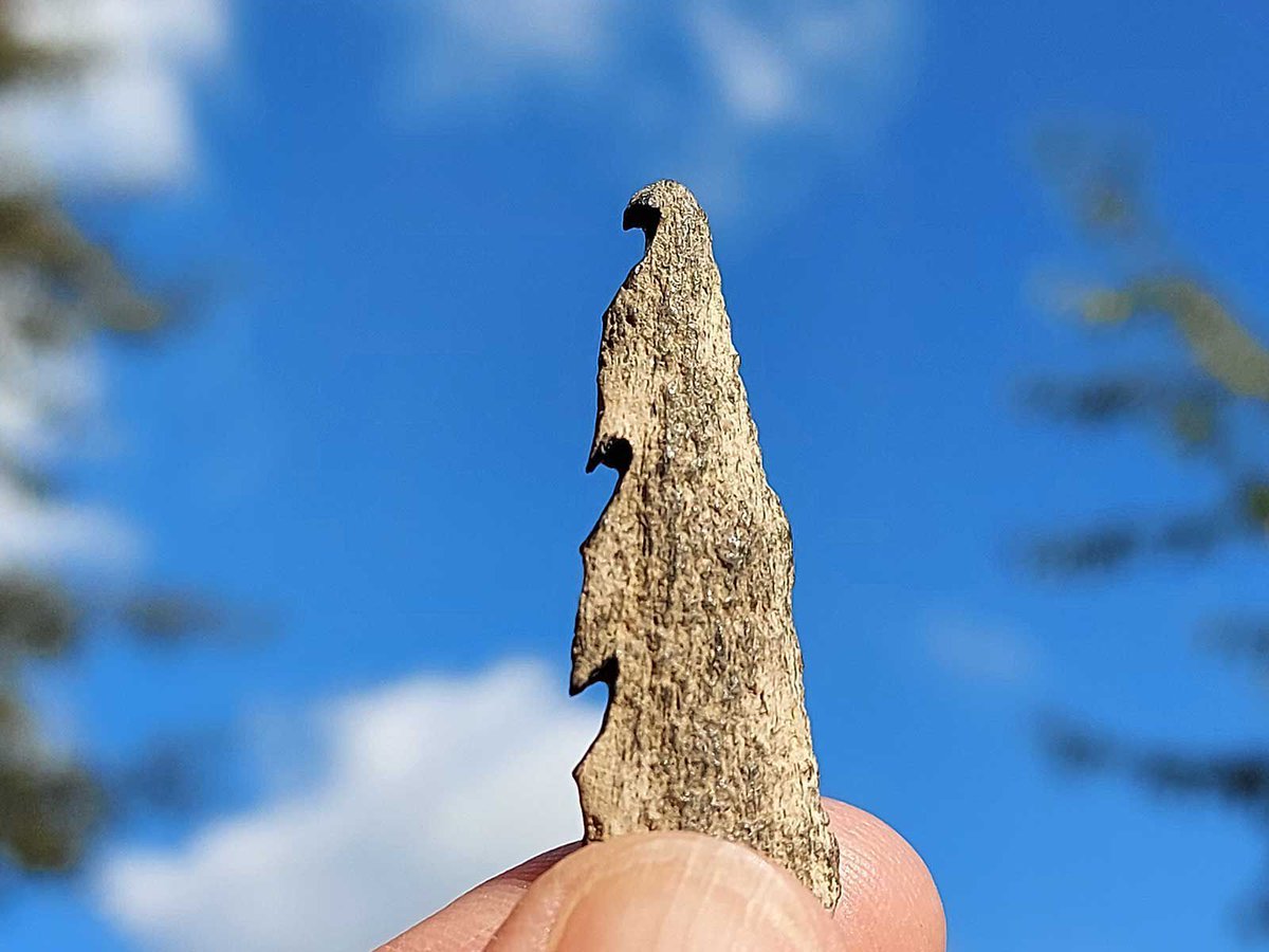 RESEARCH:

Ancient European Hunters Carved Human Bones Into Weapons

Scientists suggest 10,000-year-old barbed points washed up on Dutch beaches were made for cultural reasons 

snip.ly/wnz3wx

Via <a href="/SmithsonianMag/">Smithsonian Magazine</a>
