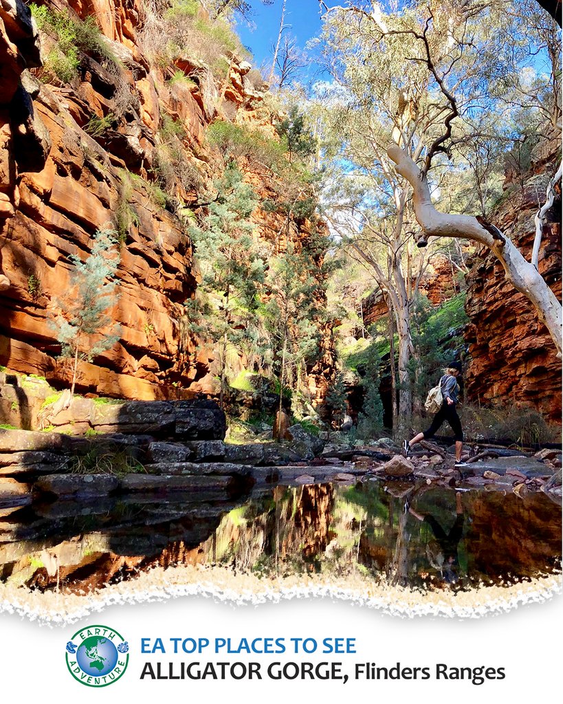 South Australia's Flinders Ranges are such fun to explore, and Alligator Gorge is a prime example!  earthadventure.com.au
Credit - <a href="/tourismsa/">South Australian Tourism Commission</a>
#tourism #touraustralia #experiencesa #SouthAustralia #SeeSouthAustralia