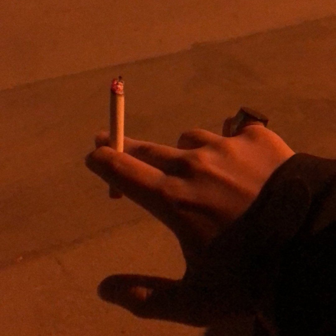 BetsinsOfficial's tweet photo. Maybe you're just
another bad habit,
that I'm struggling
to let go of. 

words and photo by cons https://t.co/GSCt9VHt4F