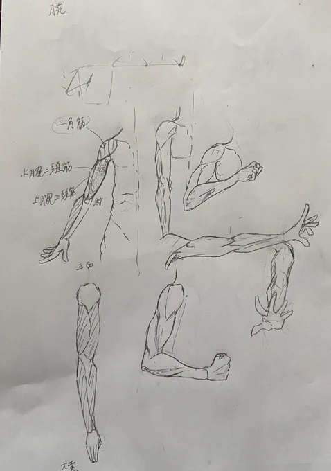 腕を描く練習中 