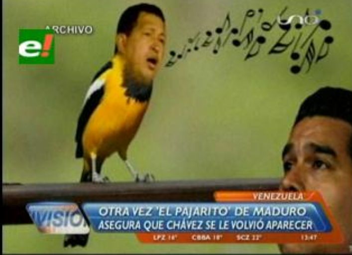 La vez que Maduro aseguro que Chávez reencarnó en un pájaro y que el pájaro le dijo cosas