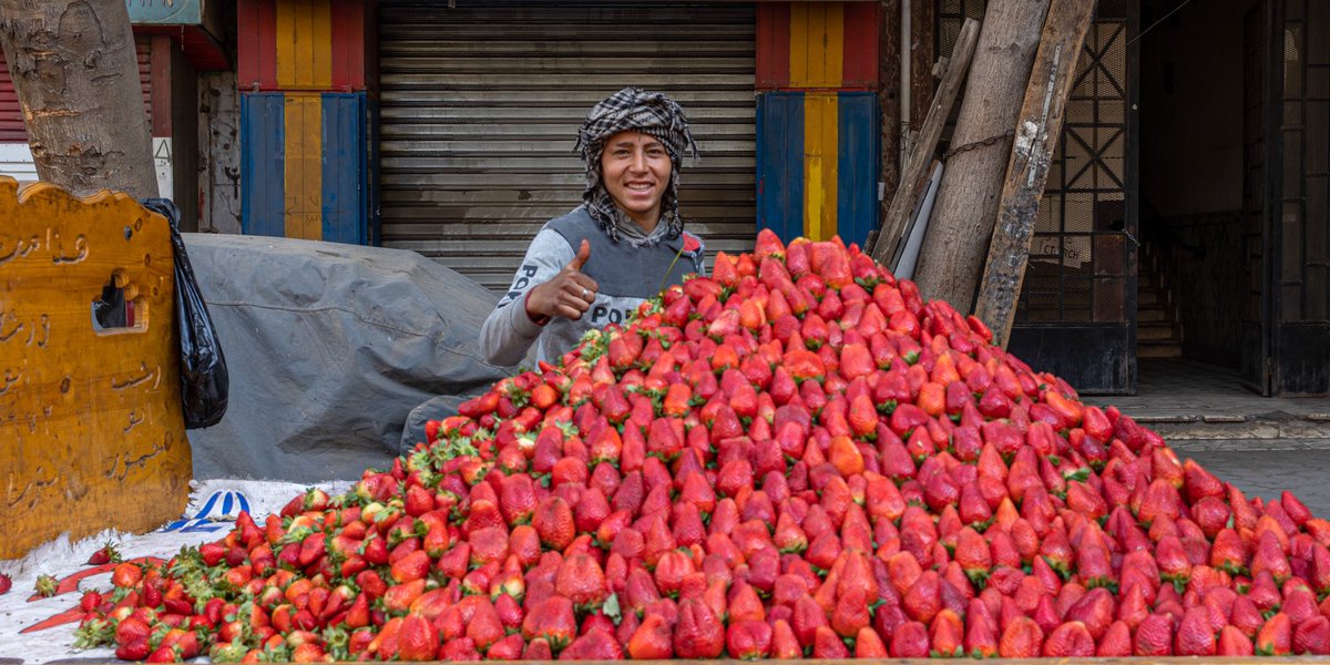 🍓 Strawberry season greetings from #Daher, #Cairo. New pyramids popping up everywhere 😊