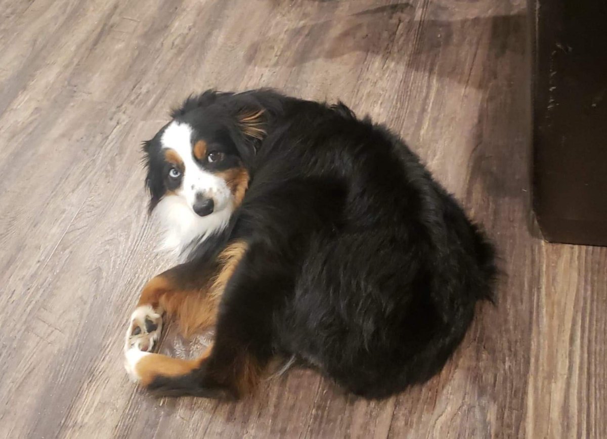 Jen L Grey tweet media