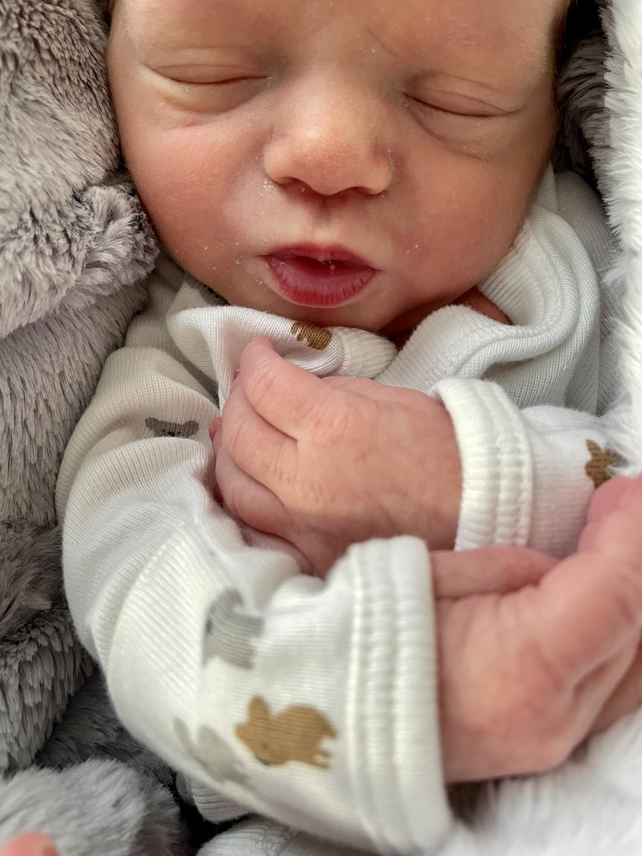 I honestly forgot I had Twitter. Since I’m not on here much and we may not be connected elsewhere, I thought I’d announce the latest news of my life... Shia Grace Carpenter is our son. 🤍 Born Feb 17 at 2:55am. <a href="/ericleecarp/">Eric Lee Carpenter</a>