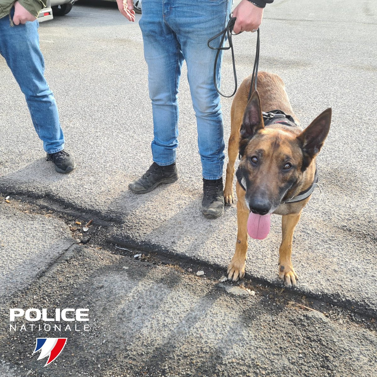 Commissariat de Versailles tweet media