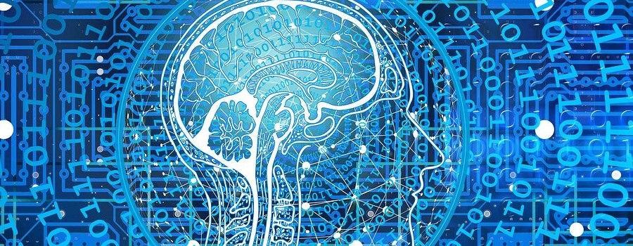 Mundoautonomos's tweet photo. Las tendencias de marketing y comunicación digital que nos esperan en 2021.

#Autonomo #emprendedores #MarketingTwitter 

https://t.co/NPhvtZaspV vía @Mundoautonomos https://t.co/n6xrcS3TP6