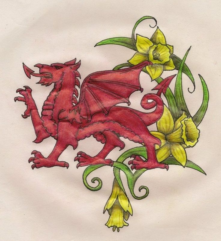 Dydd Gwyl Dewi Sant (St David's Day)