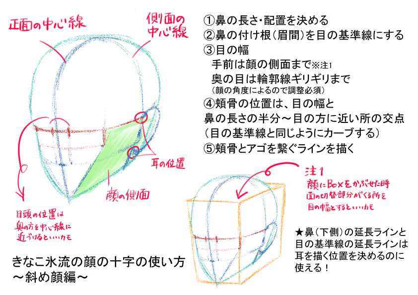 私流の顔の十字の使い方(斜め顔編) 