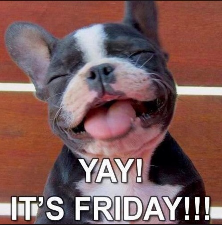 chas7luna's tweet photo. Hapi #FabFriendsFriday Tailwags and Paw hugs
@ORj1020 @Pagaille3 @luna_rescue_dog @Mandystuff @wyattthemonkey @RoryDragon @EvilGlobe  @MiniGoldendood1 @BabiesMaltese @Jack4Presidente @RamonTonnaer  @pekingeses @BaileysMythos @DelilahTheDoxie https://t.co/ClLqh5zxib