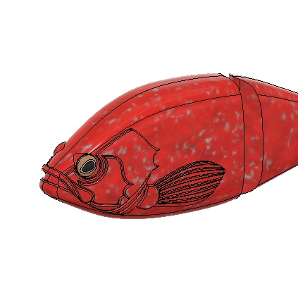 カサゴのtwitterイラスト検索結果