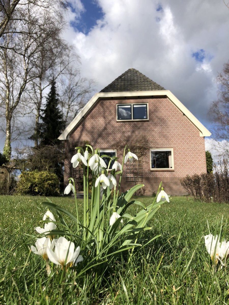 KarinWensink's tweet photo. Creatief met fotoβs, wachtend op volgende kijker. Plasweideweg 6 #wenumWiesel https://t.co/6ioTys3SST