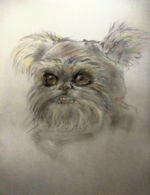 Twoucan イウォーク の注目ツイート イラスト マンガ コスプレ モデル